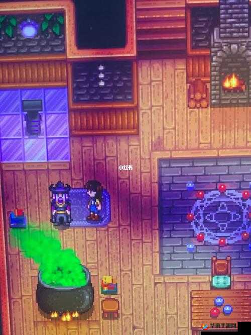 星露谷物语法师的神秘行踪