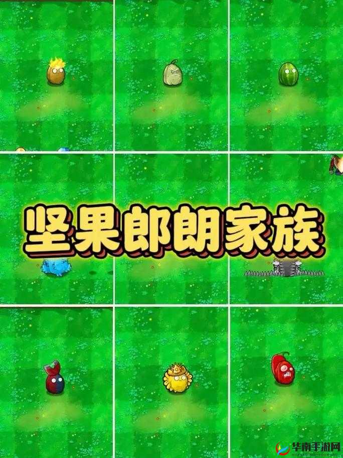 91 轻量版最新版苹果手机版:超越想象的手机助手