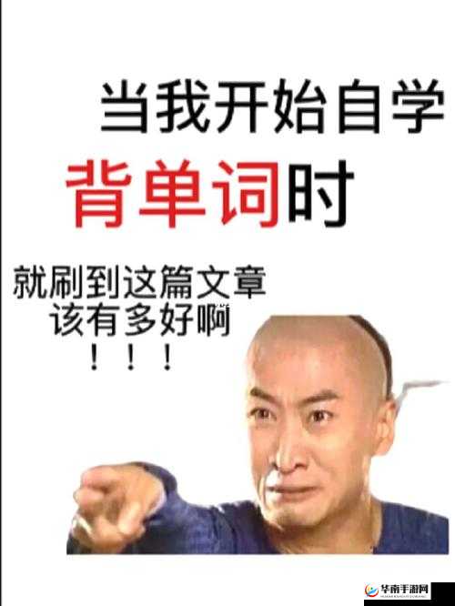 坐在学霸的棍子上背单词作者：学习路上的独特经历