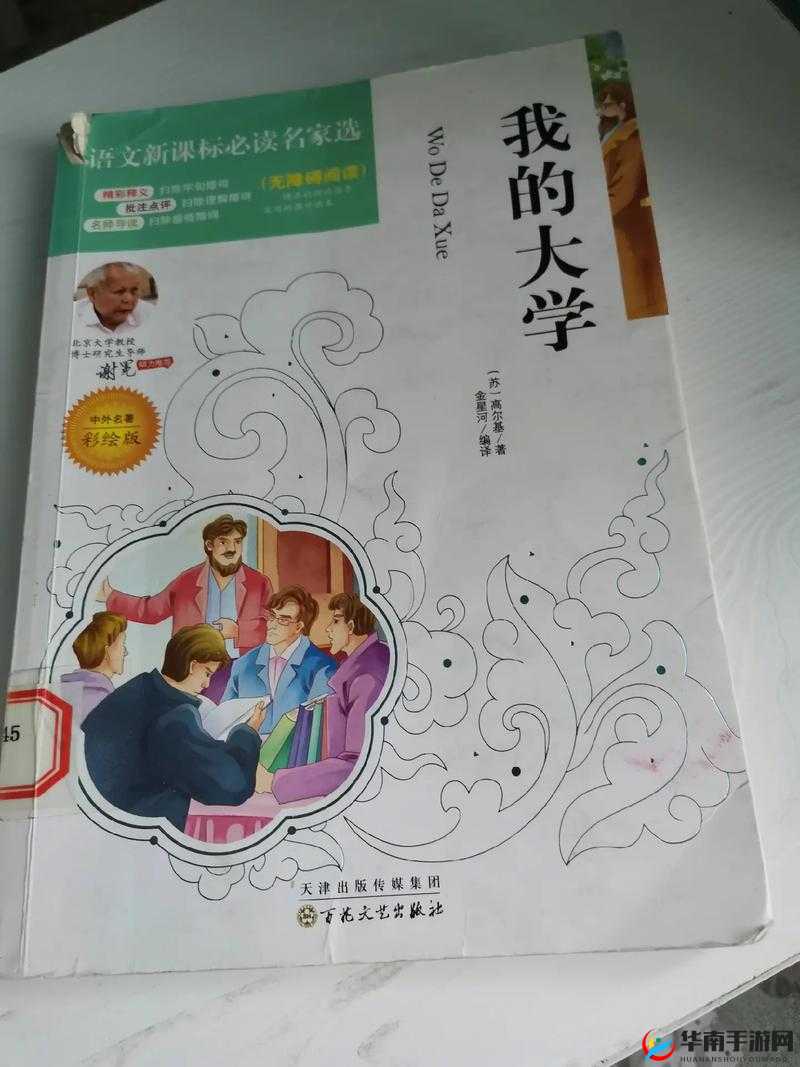 我的大学生活：青春岁月的成长与收获