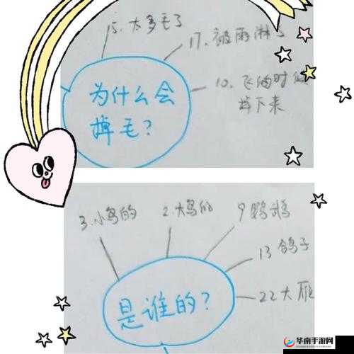 11 岁下面能放几支笔：探寻答案