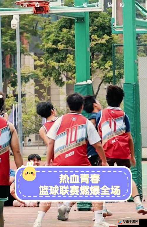 东北大学王猛 1 网址：热血青春，篮球梦想