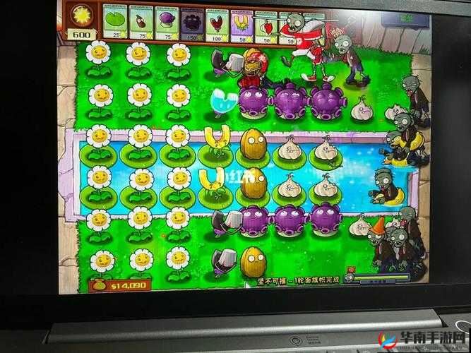 植物大战僵尸坚不可摧关卡解锁之谜与攻略