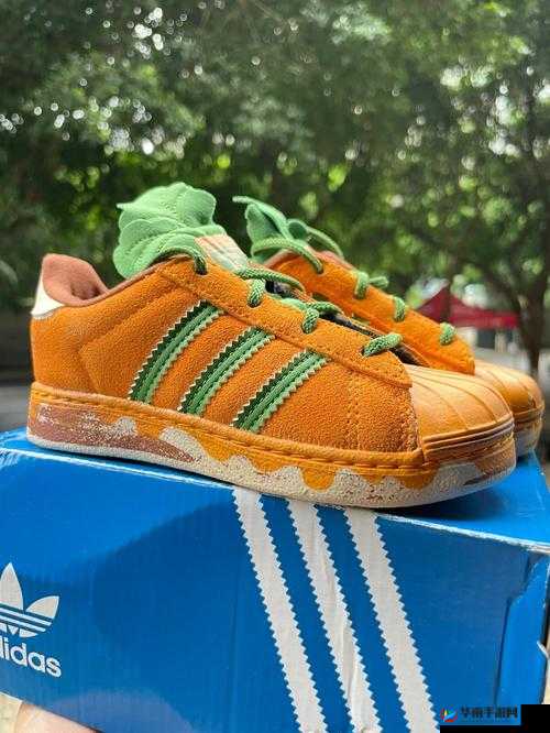 gx3823 三叶草独特魅力尽显