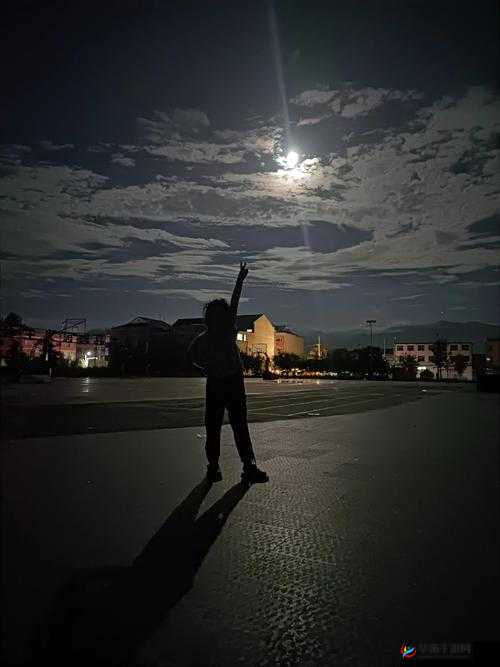 发现身边的美好：趣夜，让夜晚更有趣