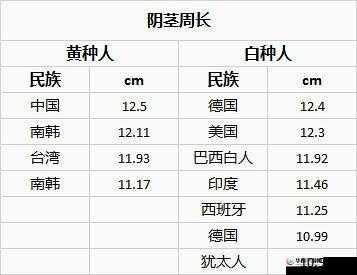 亚洲一二三产品区别在哪里:品质、设计、价格各有不同