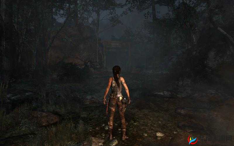 古墓丽影中跳水操作秘籍全解析：如何正确按下按键完成精彩跳水