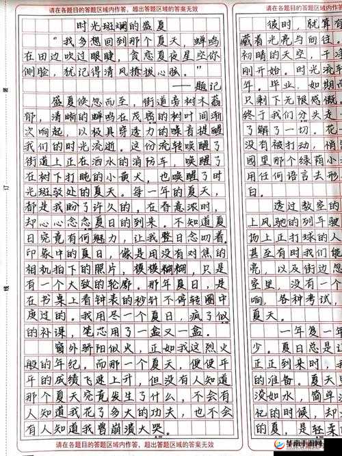 高中玩具小诗的日记:青春时光的独特记录