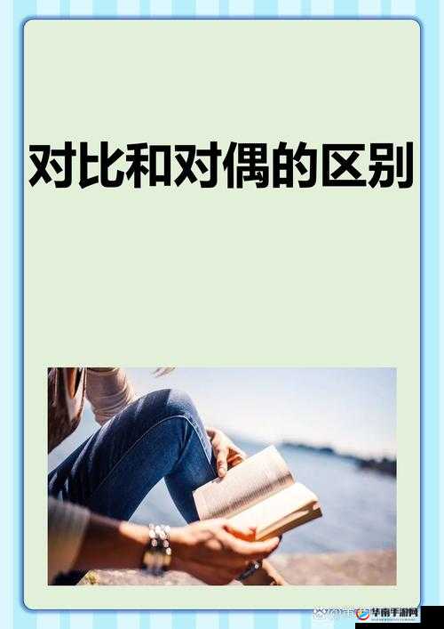 麻豆一二三产区区别：特点与差异全解析