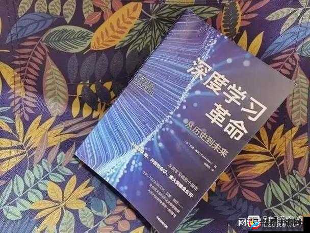 深度交流会 banggi 哇答 4：相关探讨