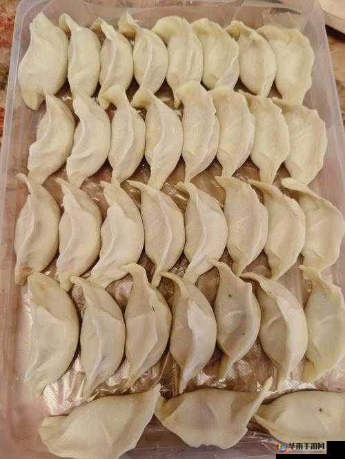 江教授要稳住肉馅小水饺视频：美食背后的故事