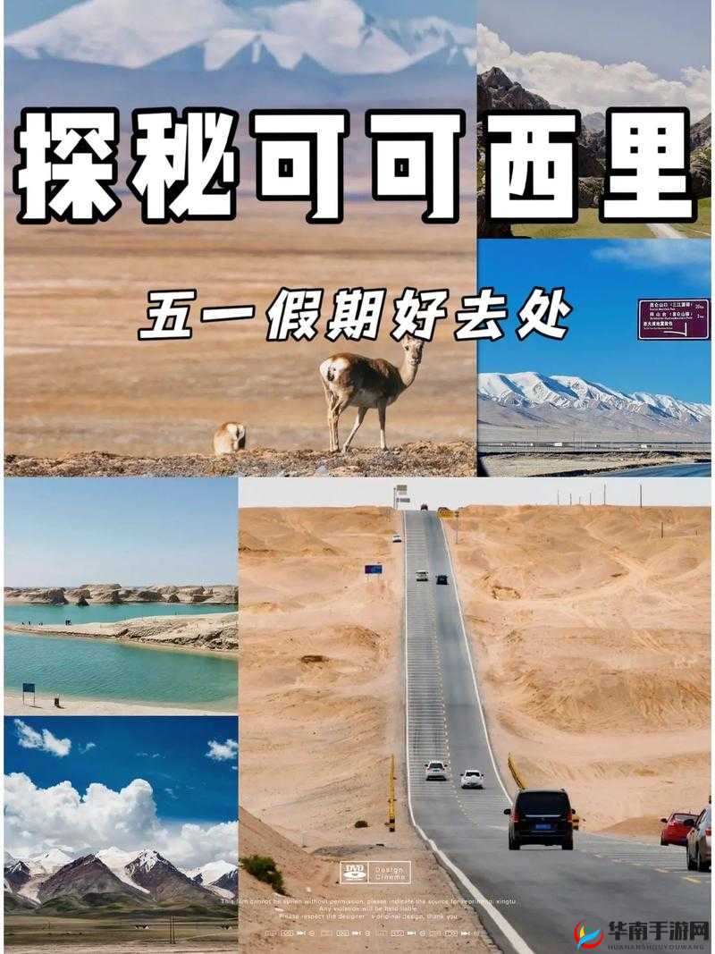 99 无人区码一码二码三码四码：探索未知的冒险之旅