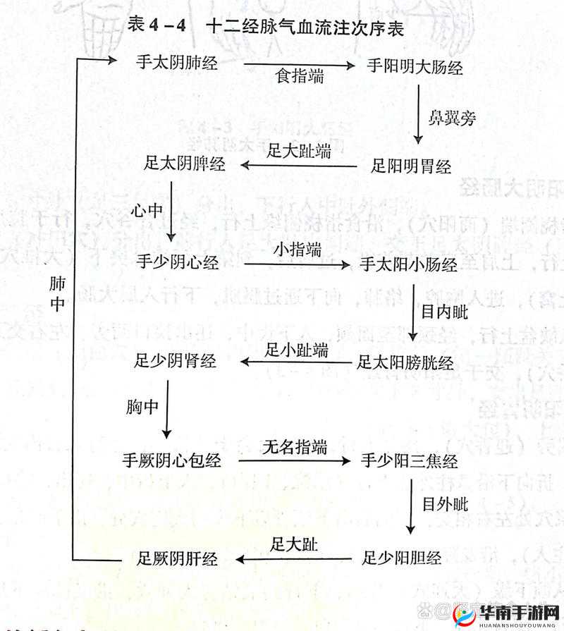 天龙部3D和尚经脉攻略:低V玩家的经脉选择与成长策略指南