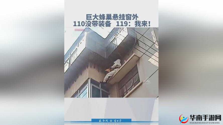 小孩和妈妈拔萝卜生孩子视频：教育意义探讨