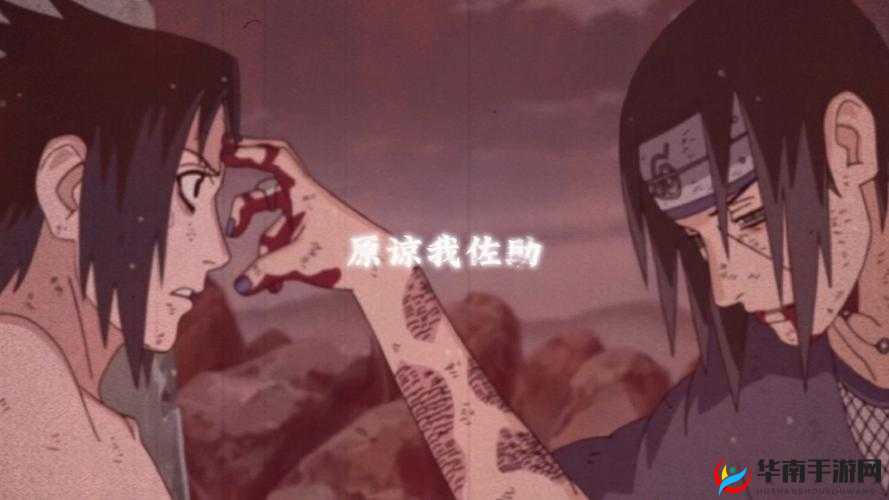 不要打扰愚蠢的我