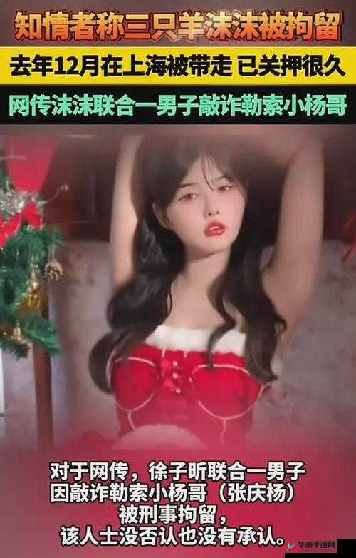 51 爆料网三只羊：最新动态抢先看