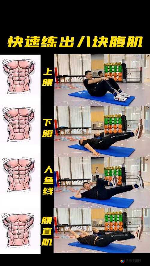 教你练就完美腹肌：腹肌顶端 0 按下去有点硬