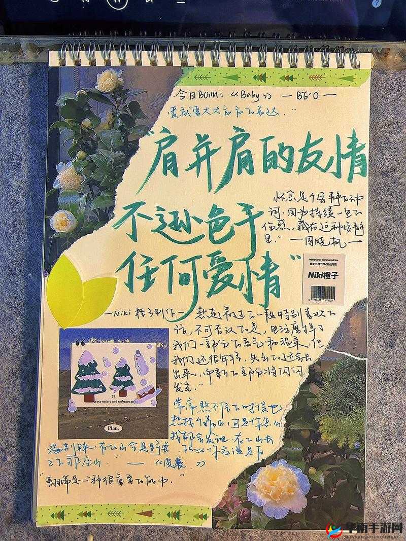 友情魔法之旅：友谊之秘的采集攻略