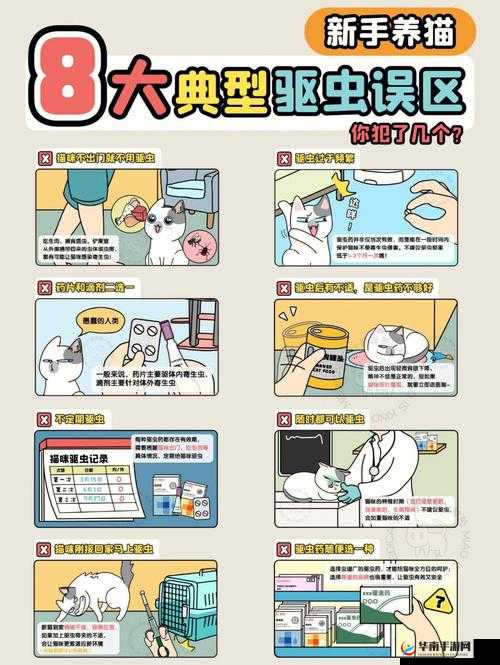 战斗吧蘑菇君：新手指南手册与全攻略解读