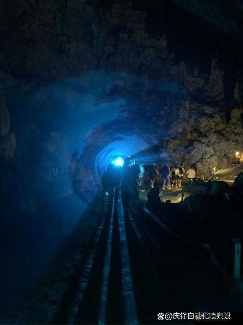 舌头一路向下游走：探寻未知的神秘之旅