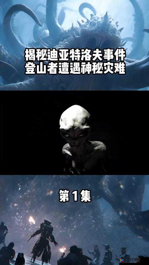 神秘视频 5 个路径全揭秘