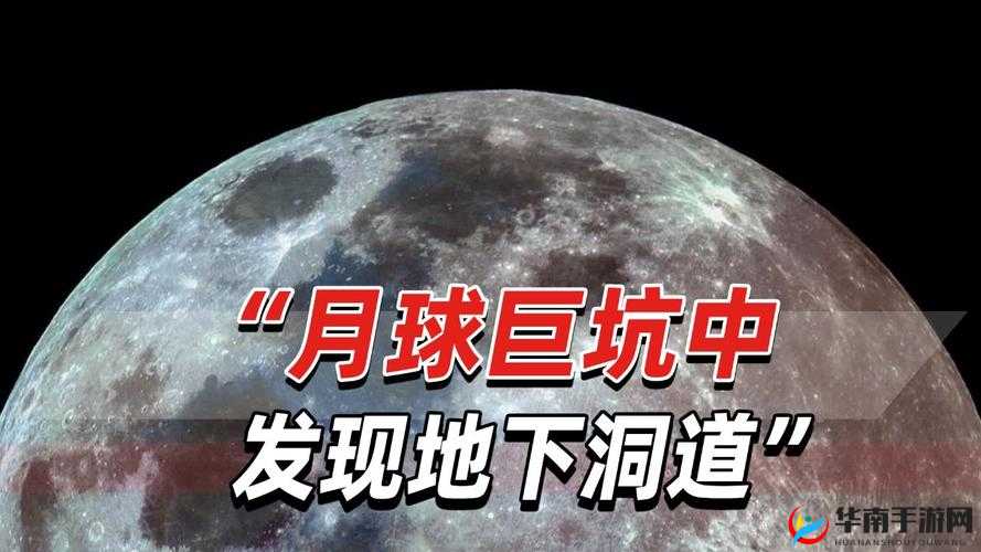 矿洞新发现：全新矿洞组织强势来袭，发家致富的理想场所
