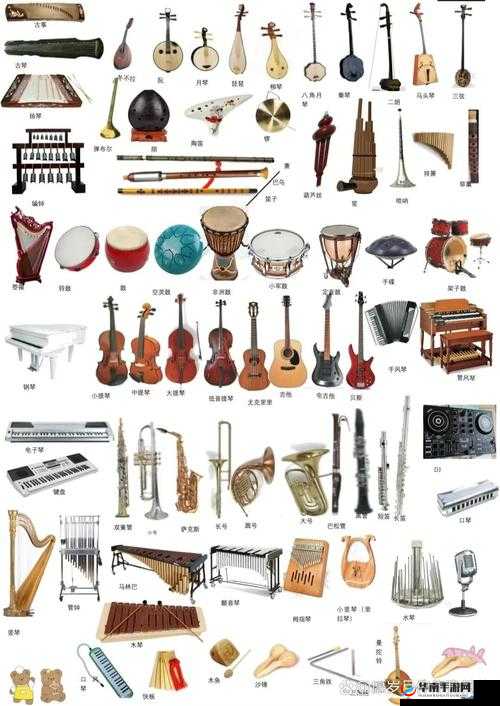 腐蚀 DLC 乐器大揭秘：都有哪些独特乐器
