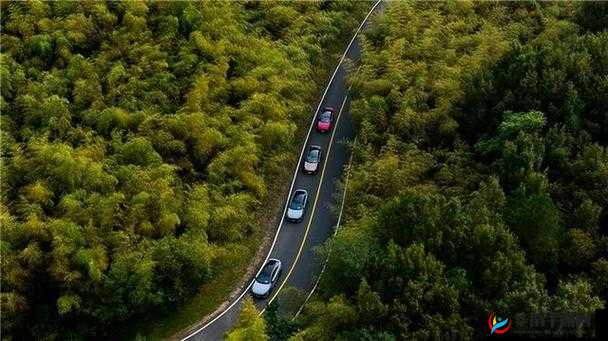 丰裕纵满 2 的别样精彩呈现