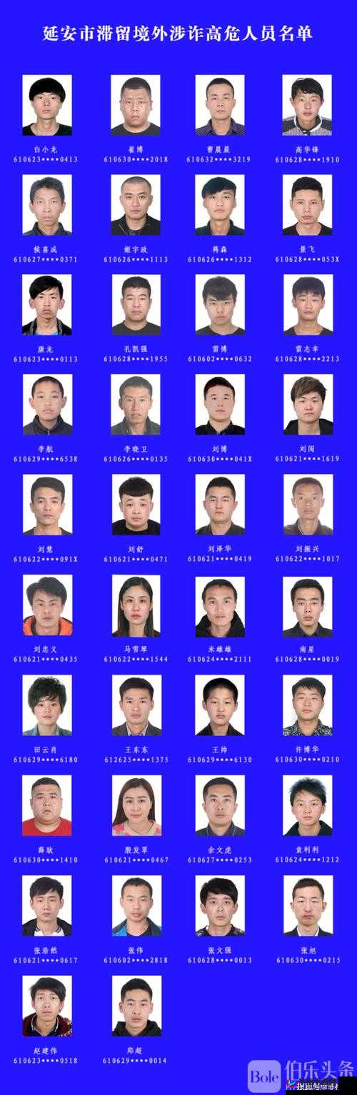 缅北北部血腥 2024 黑网:揭秘网络背后的罪恶