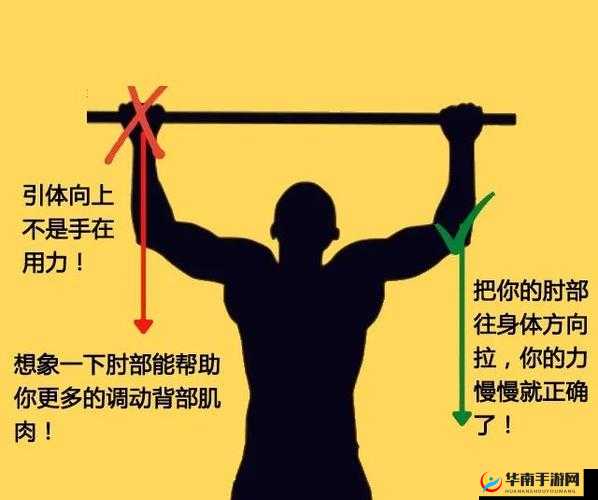 炙热 by 引体向上:挑战自我的力量训练