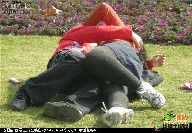 野外做受又硬又粗又大视幕:极致刺激的野外体验