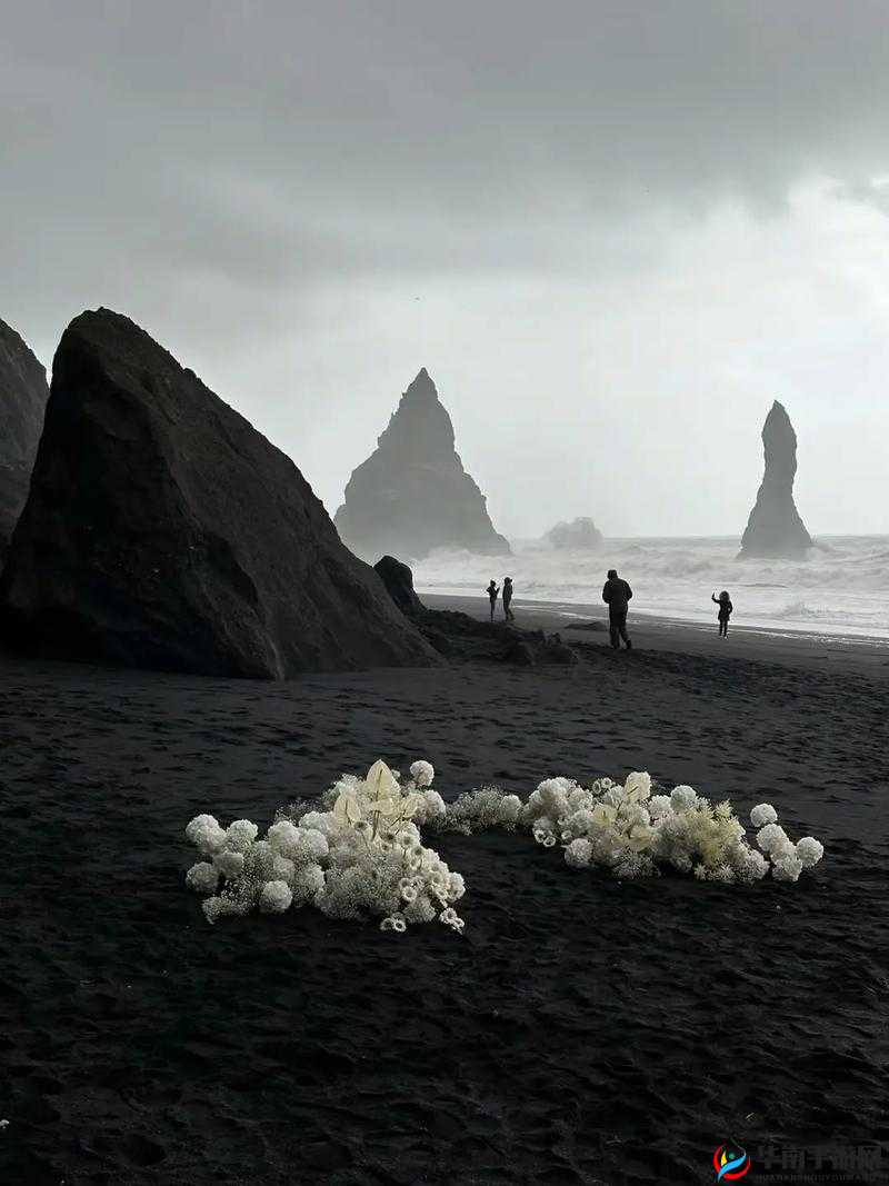 夜间一级黑色网站：探索隐秘世界