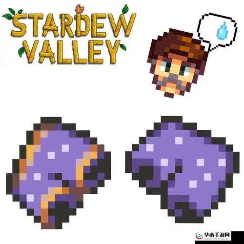 星露谷物语刘易斯短裤的神秘踪迹