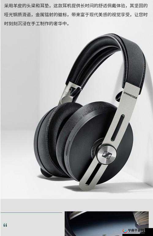 Momentum 大馒头:震撼音质新体验