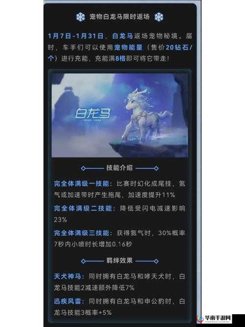 浮元子宠物在 QQ 飞车手游中的表现与特色详解