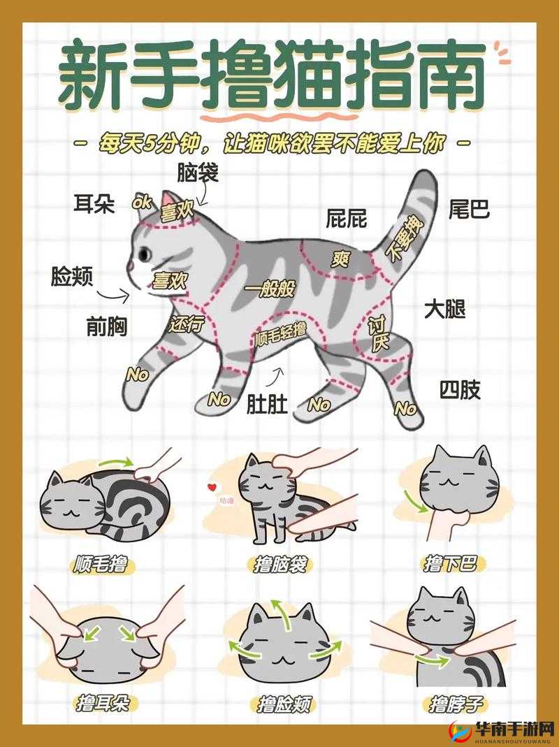 忍者萌剑传新手攻略详解：常用流派介绍与战术指南