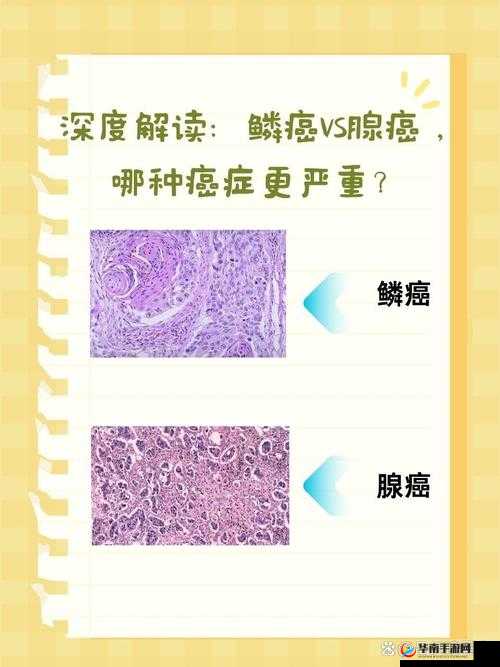猎神OL战士技能演变全解析：技能特性与变化深度探讨