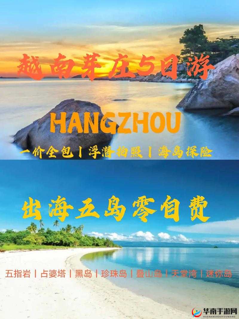 心悦海岛探险：珍珠的神秘力量与获取攻略详解