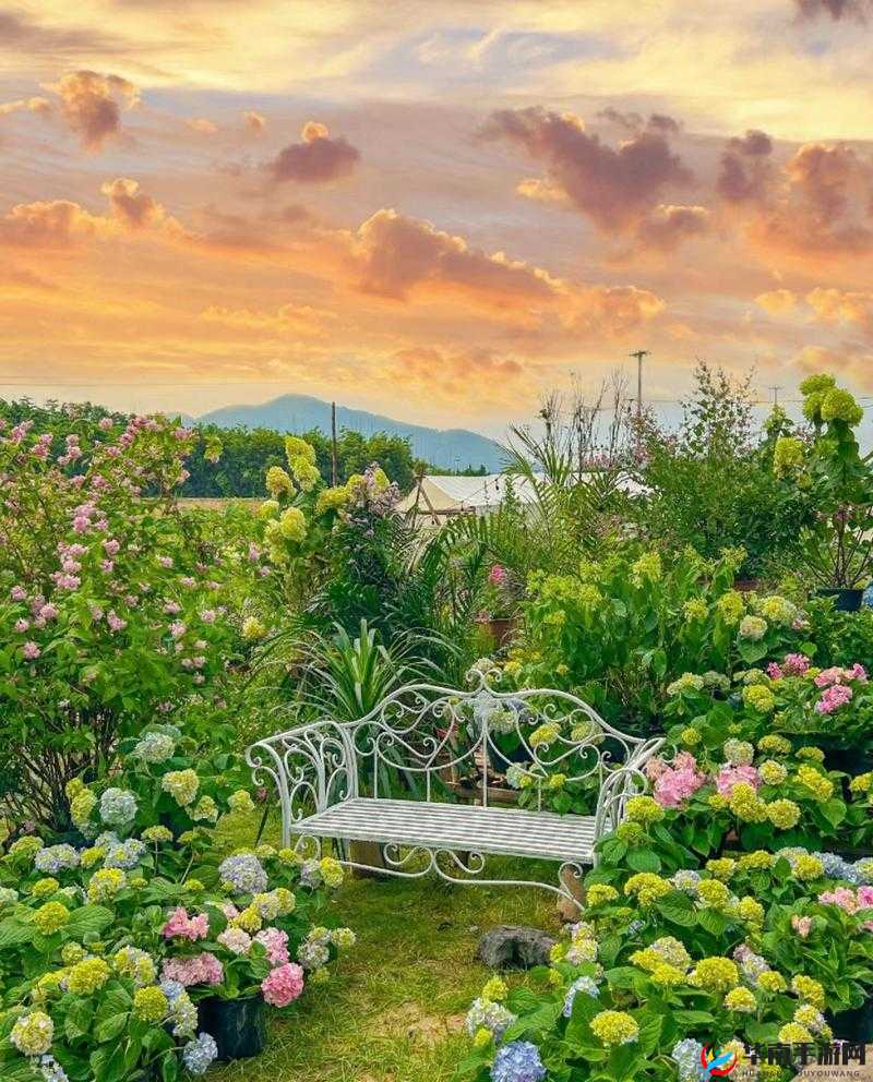 现实交错花园,下周华丽开启