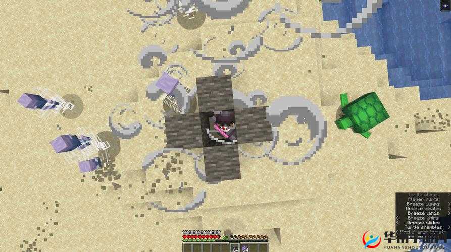 旋风鲨宝神秘隐藏属性揭秘：不为人知的超强特性解析