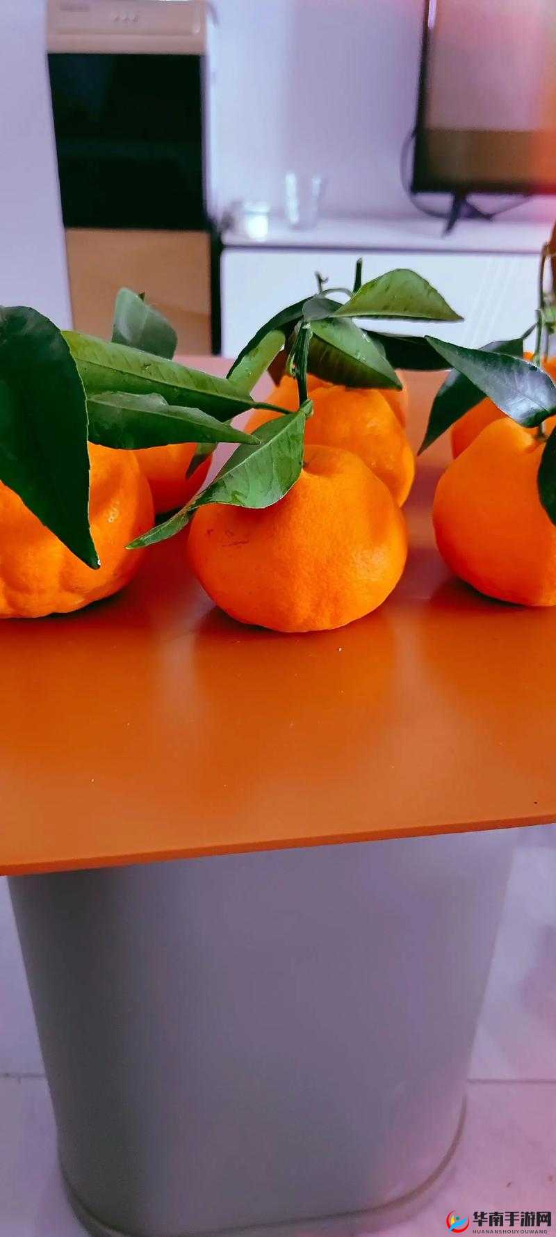 疯狂11人橙色巨星签约攻略：培养最强球员组合之道