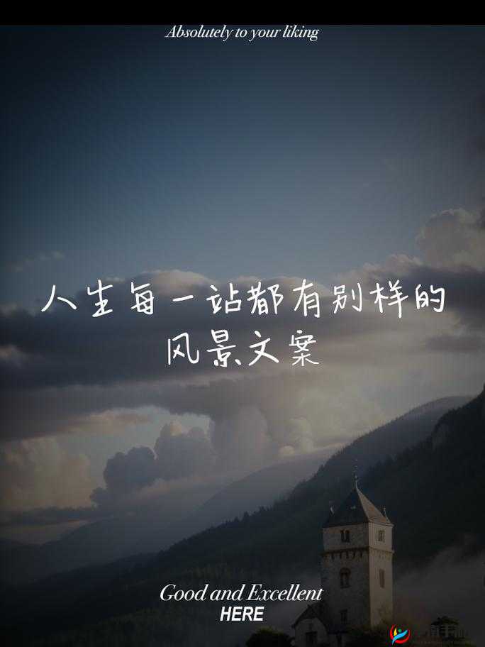 以中老年人的大 BwBwB 为中心：一场别样的人生旅程