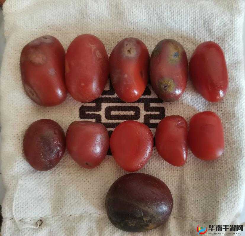 印度性xxxxxbbbbb：独特的文化现象探讨