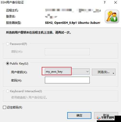 国内 CHEAPWINDOWSVPS：优质 VPS 服务推荐