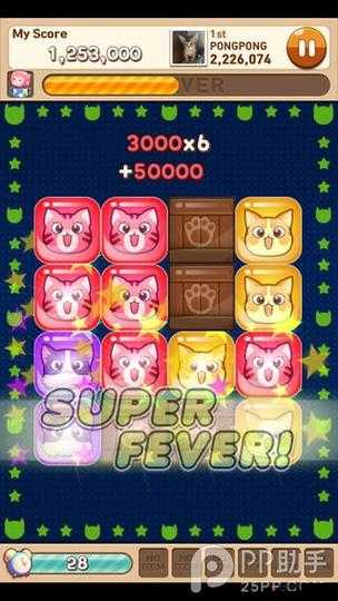 全民砰砰砰宠物迪姆属性全面解析