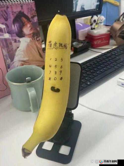 香蕉频蕉 app- 满足你所有视频需求