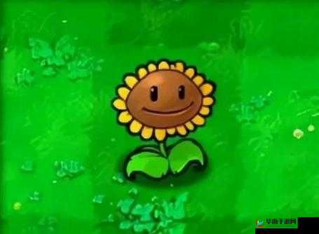 植物大战僵尸 2 图鉴:向日葵,阳光的生产者