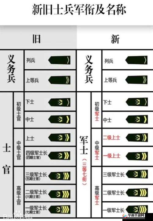 《深度解析《红警风暴》军衔制度：战略技能背后的荣誉与力量》