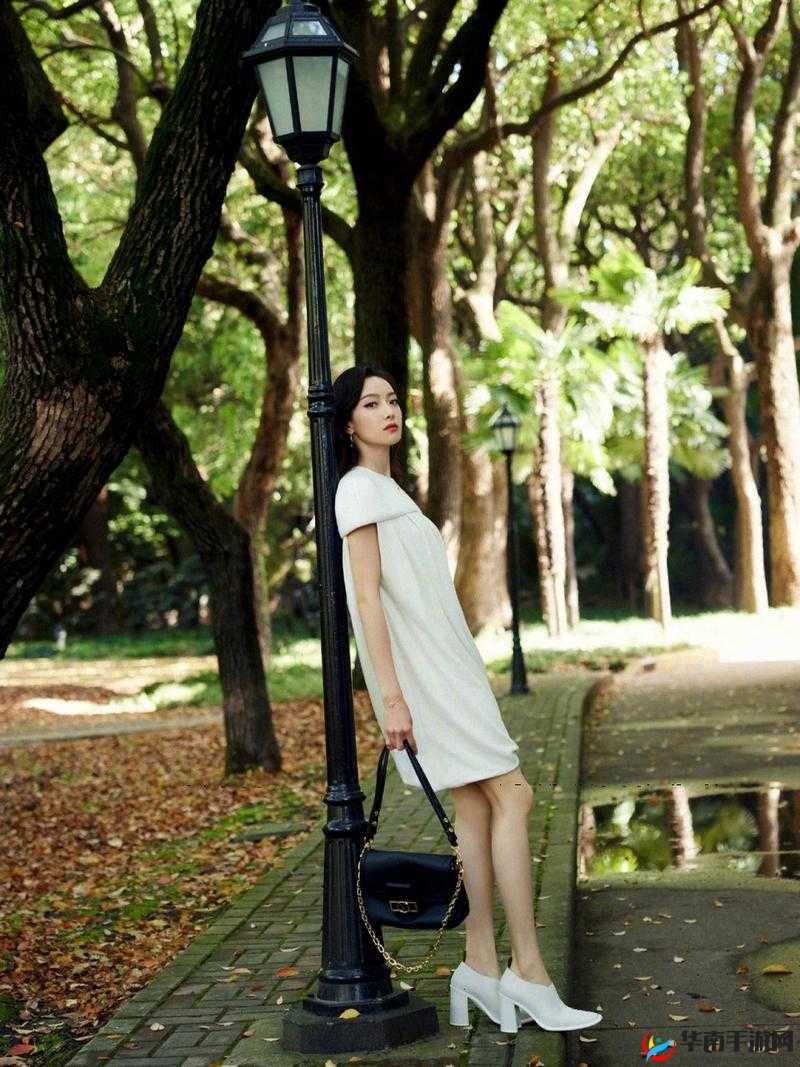 野花香日本大全免费观看：尽享视觉盛宴