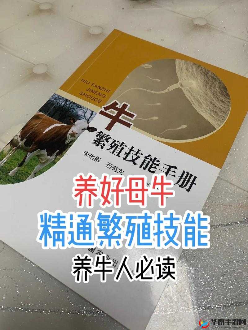 《英雄之战：新手必备技能解析手册》